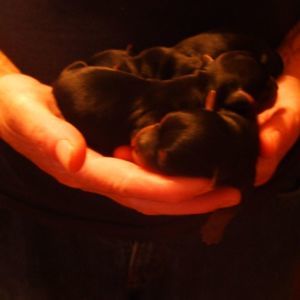 Meet your Posher, Jean